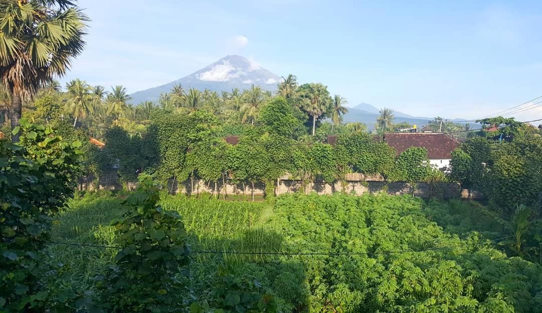 Black Sand Hostel Amed Экстерьер фото
